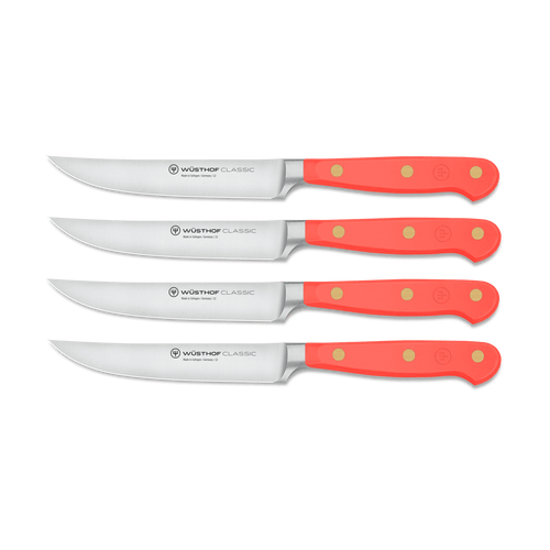 Classic 4-Piece Steak Knife Set