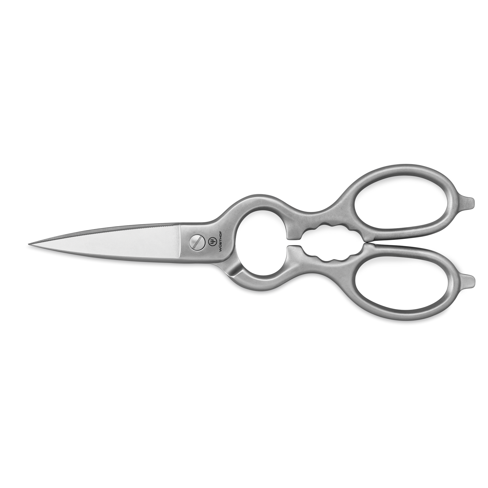 Stainless Kitchen Shears