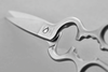 Stainless Kitchen Shears